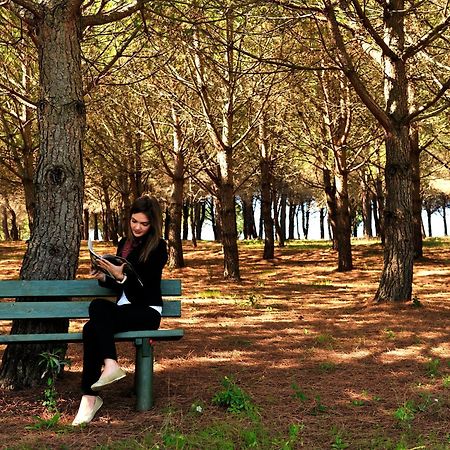 Popilia Country Resort Pizzo  Zewnętrze zdjęcie
